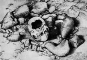 Teschio del Circeo (dalla Grotta Guattari)