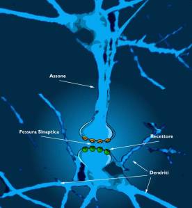 NeuroneSchema