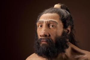 1-neanderthal