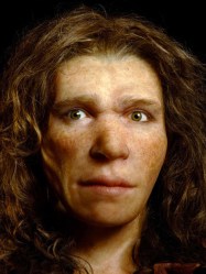 neanderthal1