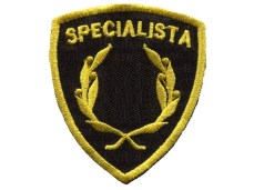 specialista_armi_506af95d73c2c