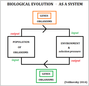 genes-organisms-and-environment-as-self-coupled-systems