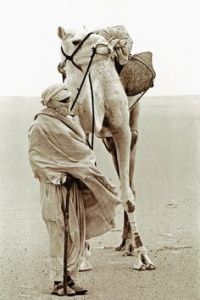 f8158c22421b021aae86c14d42c24c3c