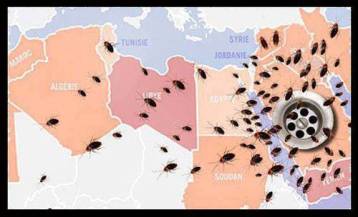 wahhabis_saudi_cockroaches